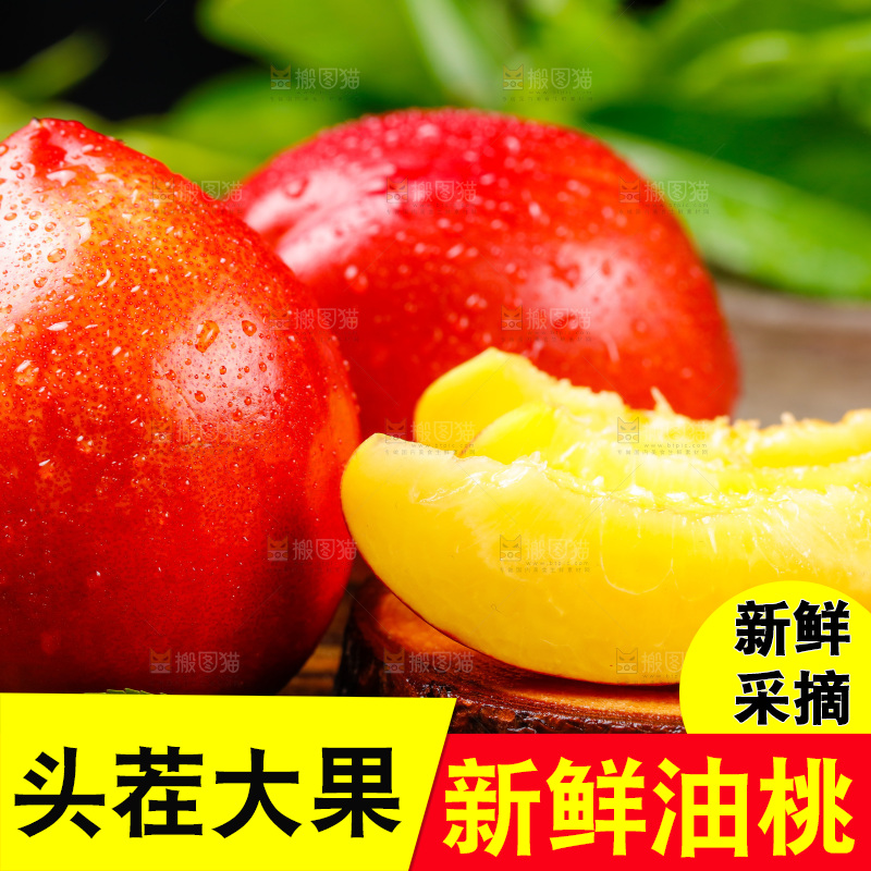深底上的山西黄心油桃
