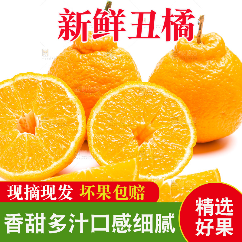 切开的四川丑橘放在白底上