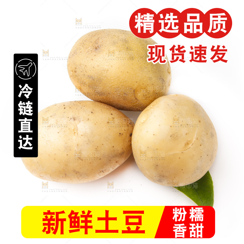 白底上放着黄心土豆