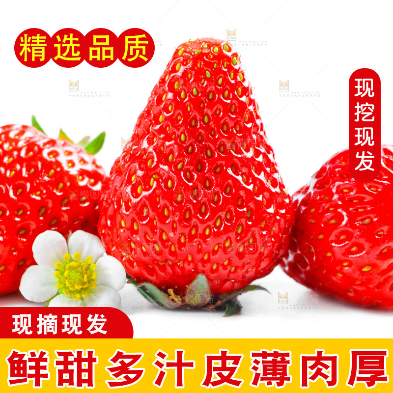 白底上的草莓