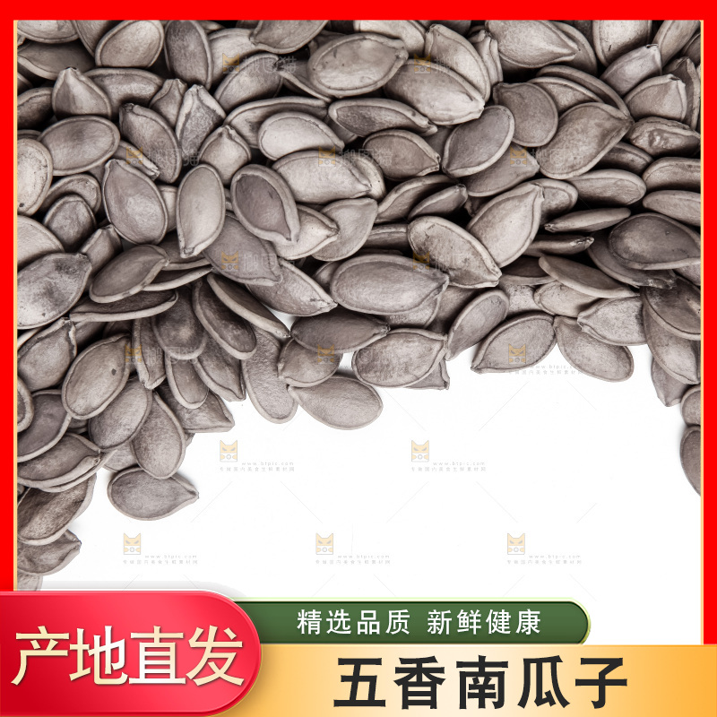 黑南瓜子放在白底上