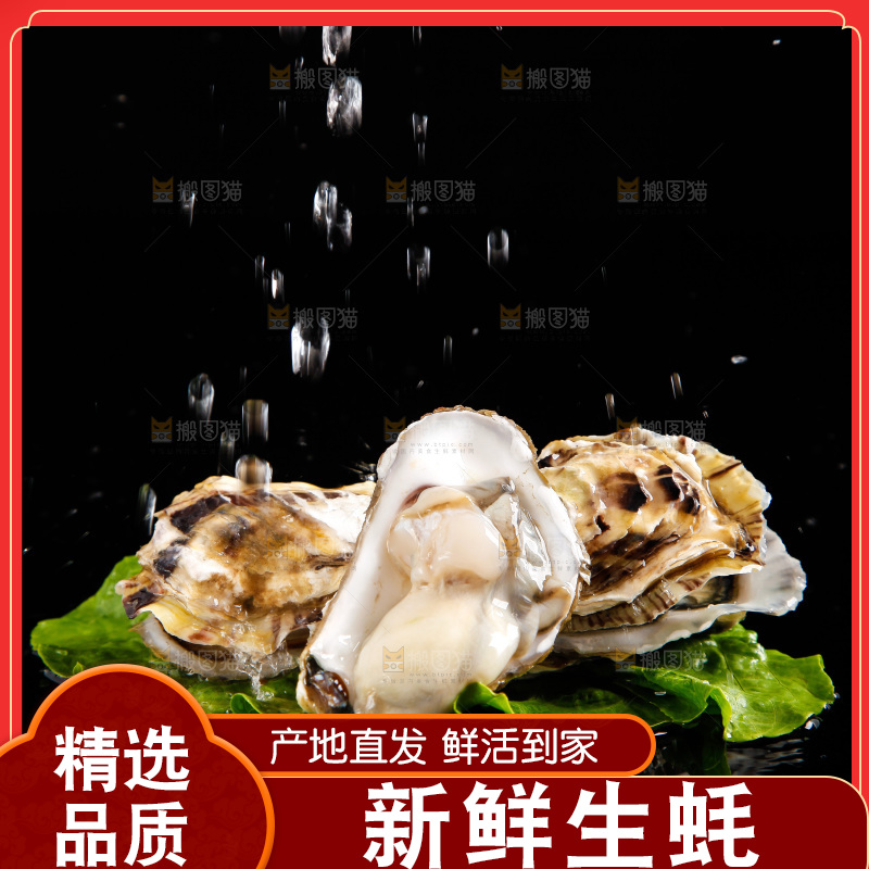 深底上放着牡蛎