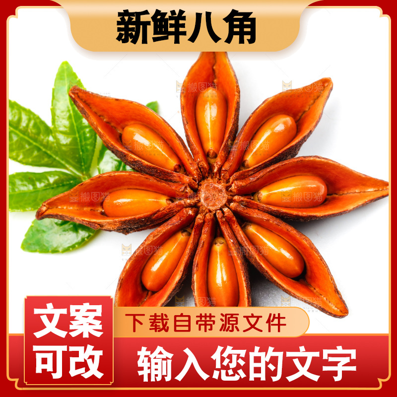 广西八角放在白底上