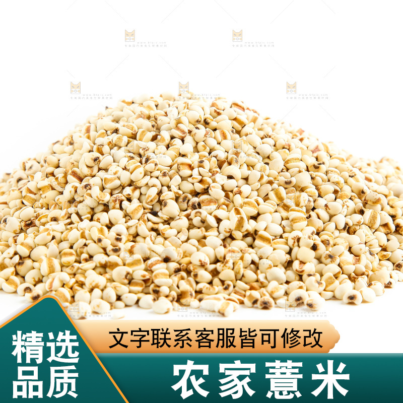 新鲜薏米放在白底上