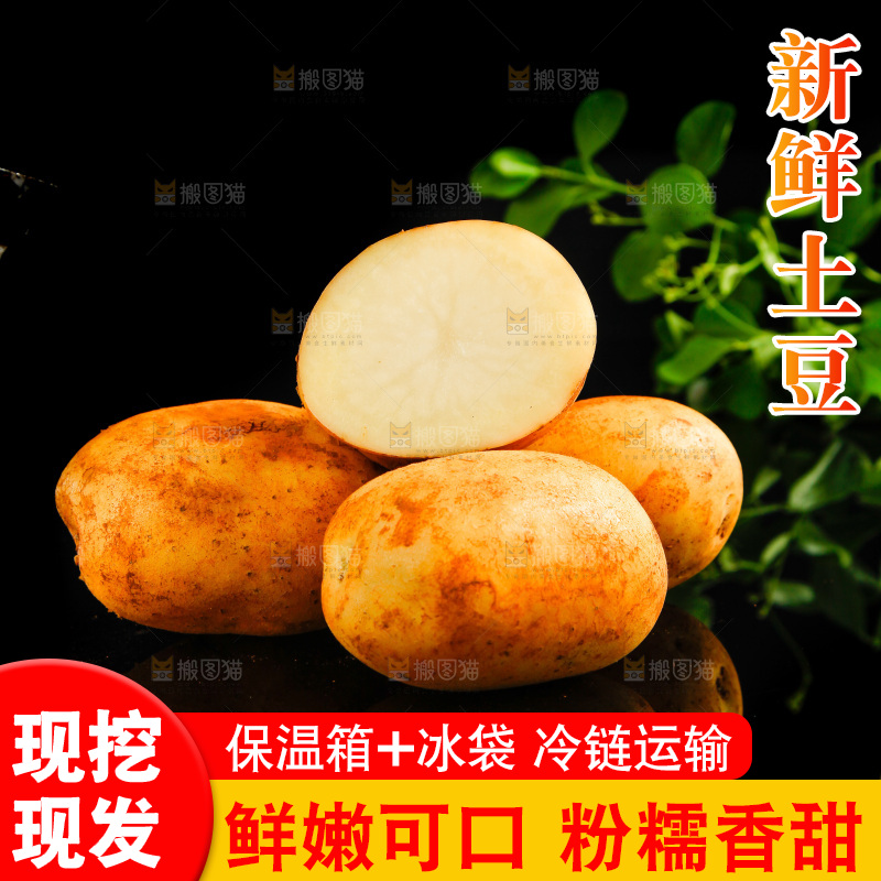 黑底上放着黄心土豆