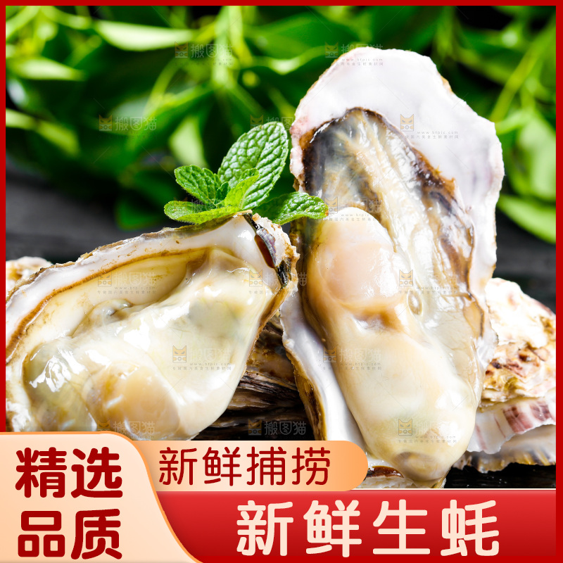 深底上放着牡蛎