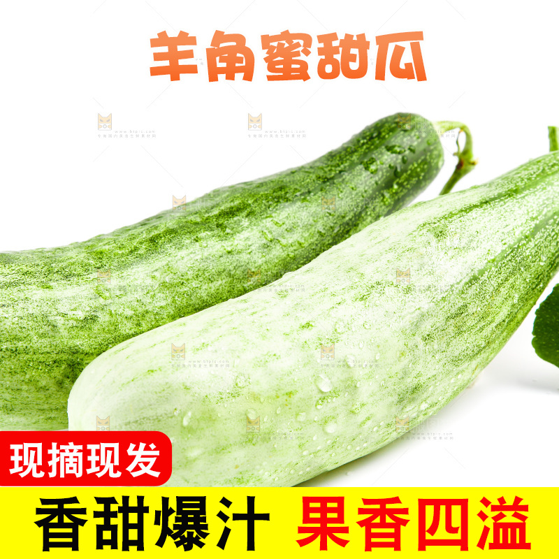 白底上的山东羊角蜜甜瓜