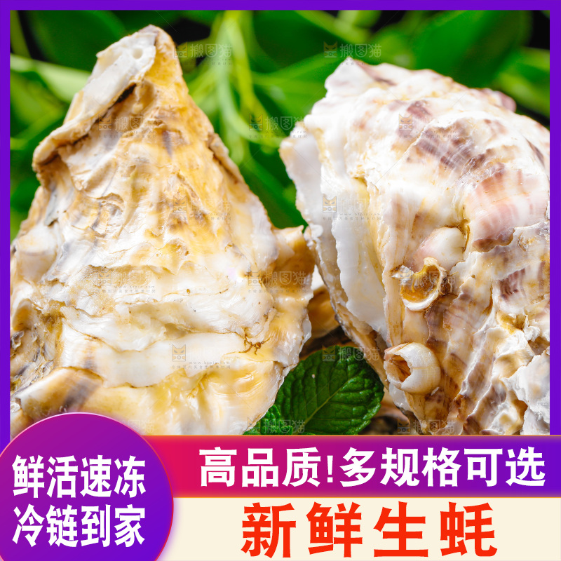 黑底上放着海蛎子