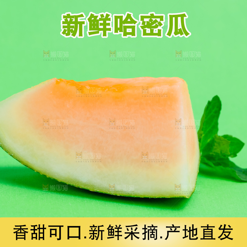 浅底上的哈密瓜