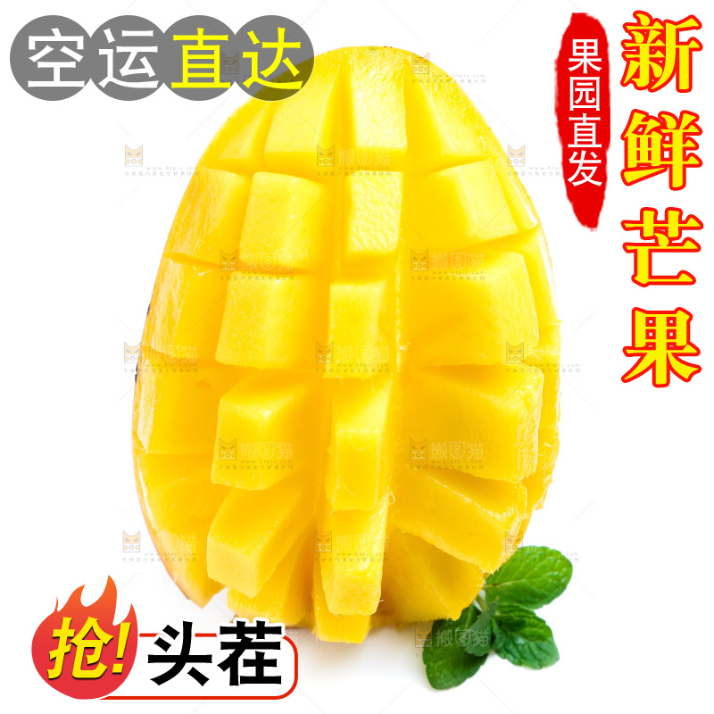 新鲜台芒放在白底上