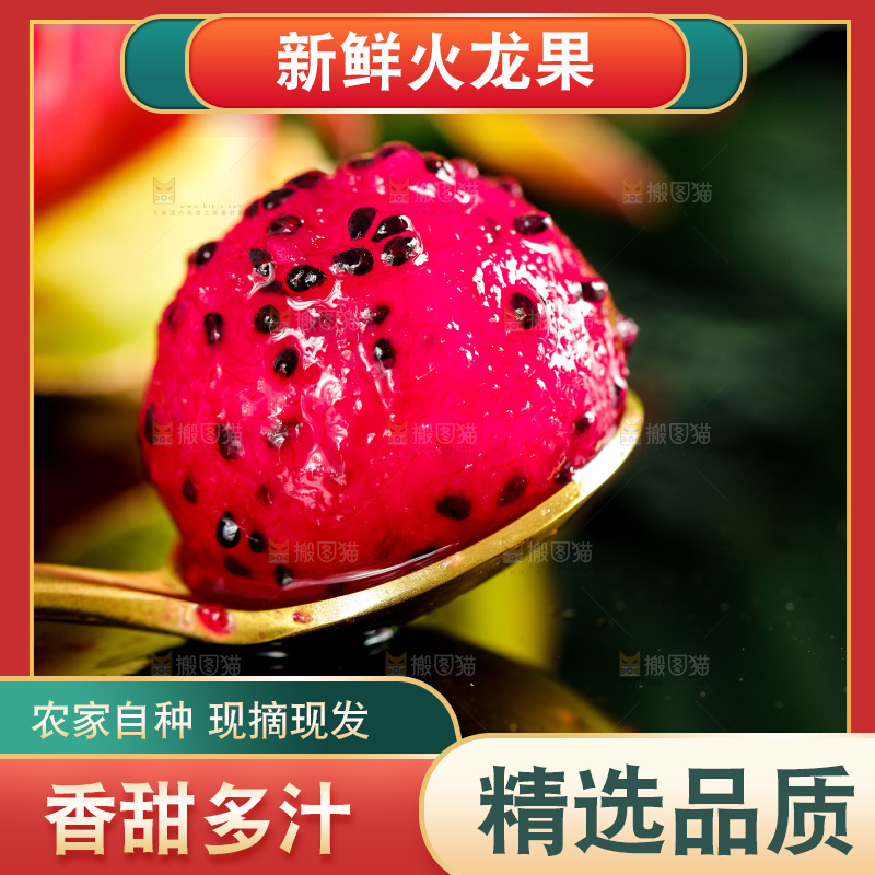 勺子里装着红心火龙果