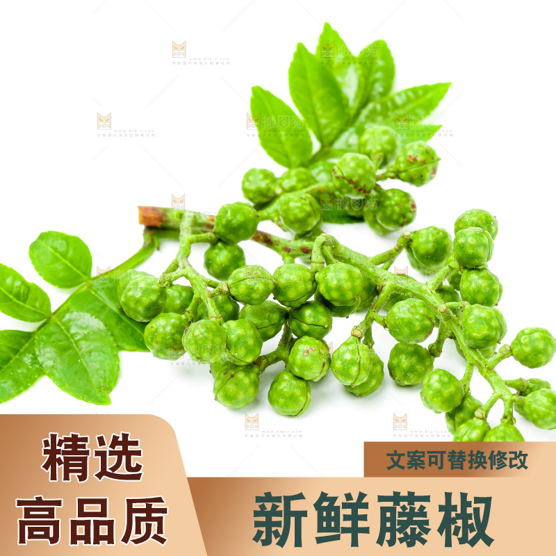 新鲜麻椒放在白底上