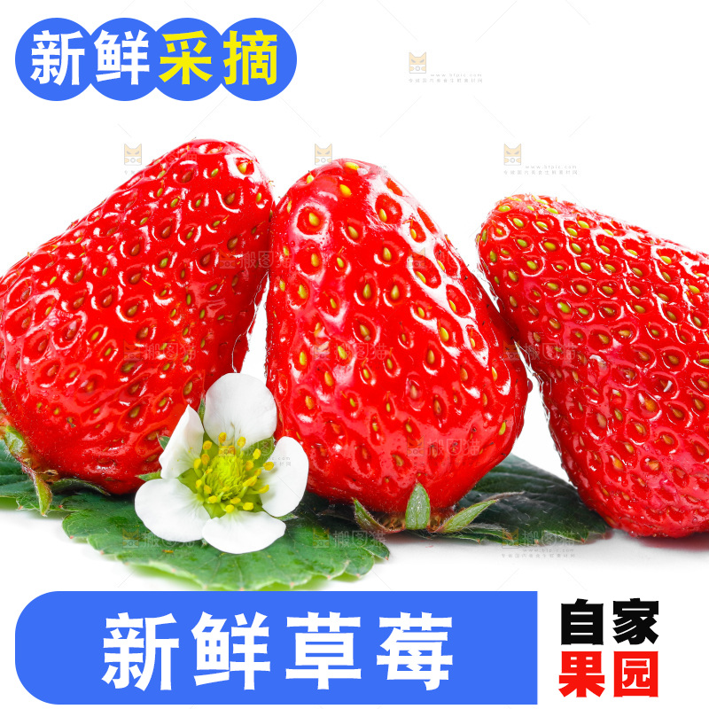白底上放着99草莓
