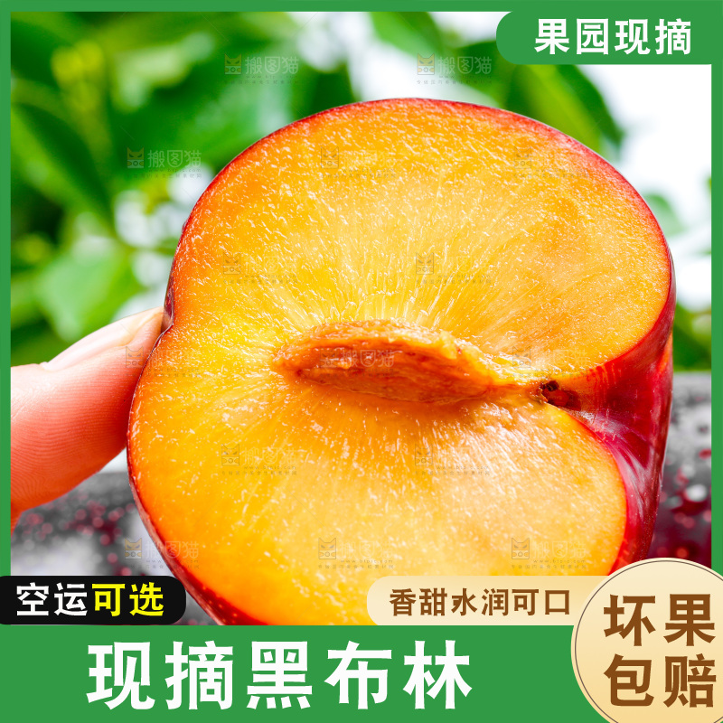 黄肉黑布林放在浅底上