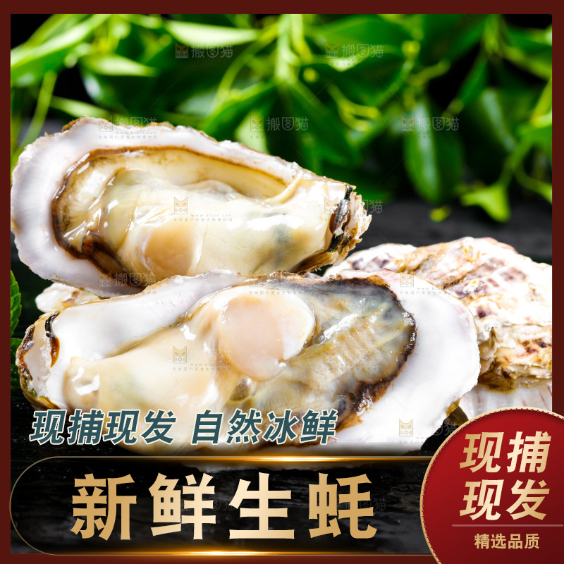 深底上放着牡蛎