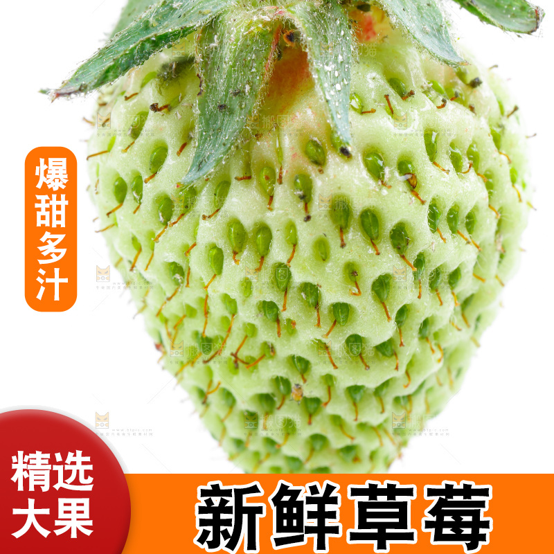 白底上的新鲜草莓