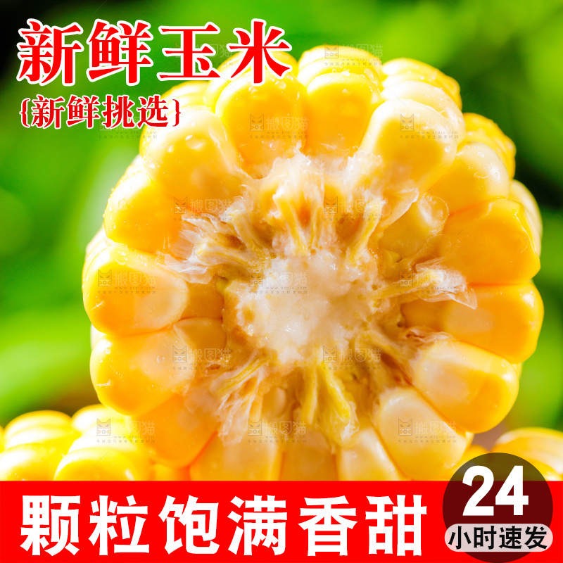 云南水果甜玉米放在木底上