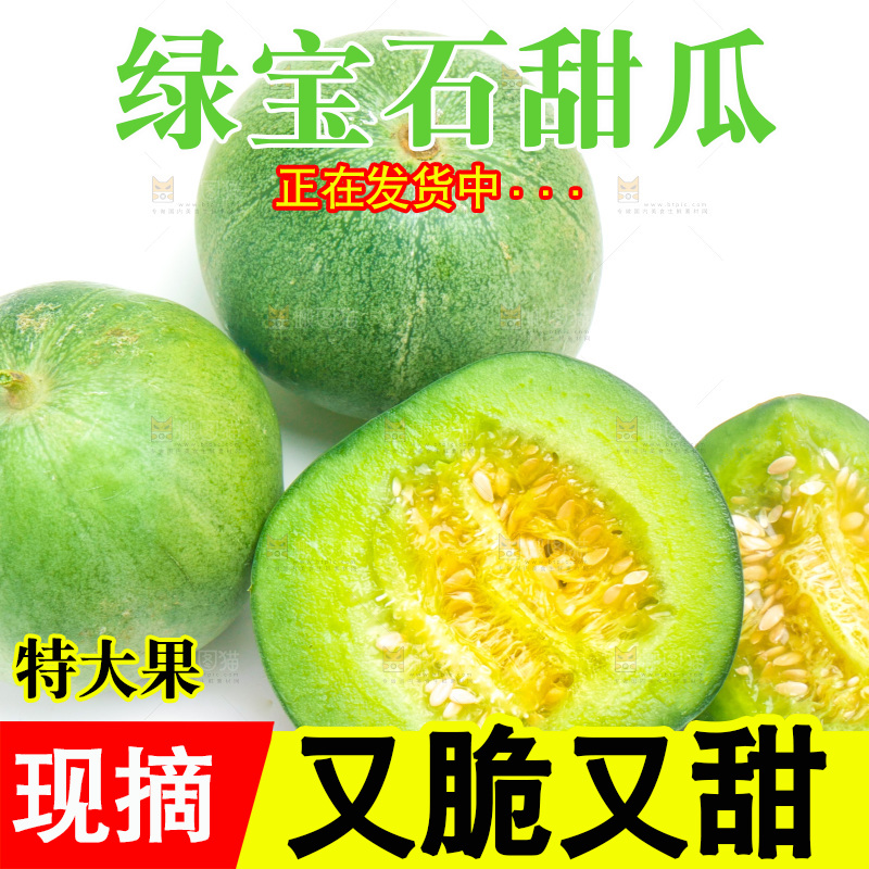 山东绿宝甜瓜放在白底上