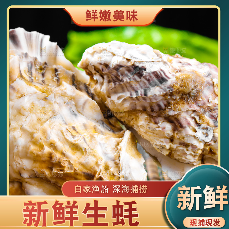 木底上放着生蚝