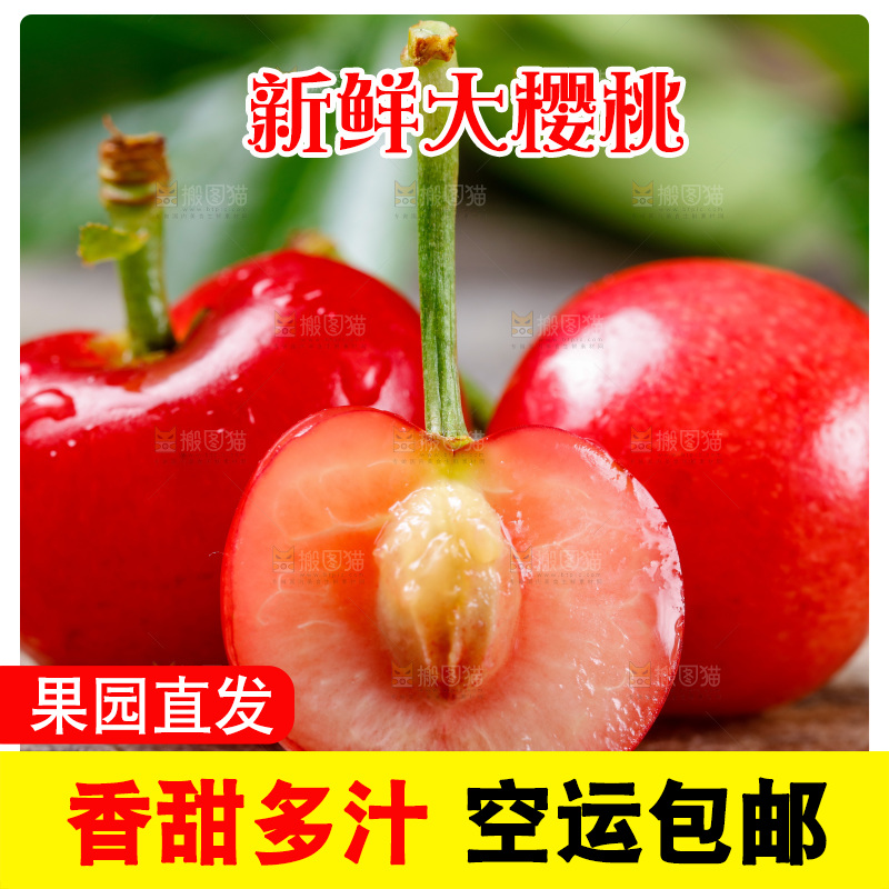 木底上放着烟台樱桃