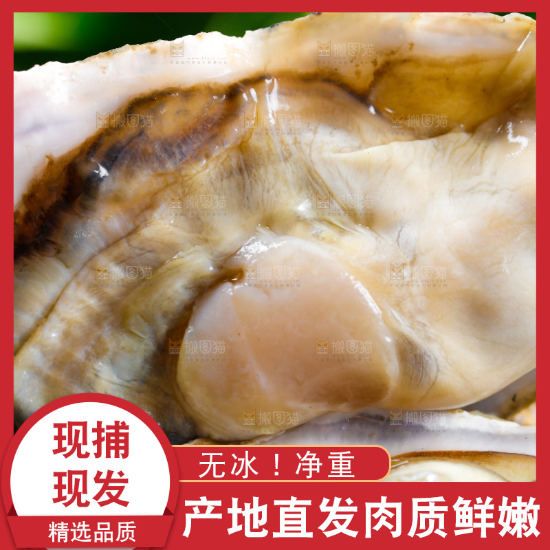 深底上放着牡蛎