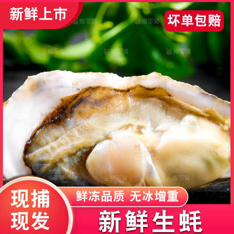 黑底上放着海蛎子