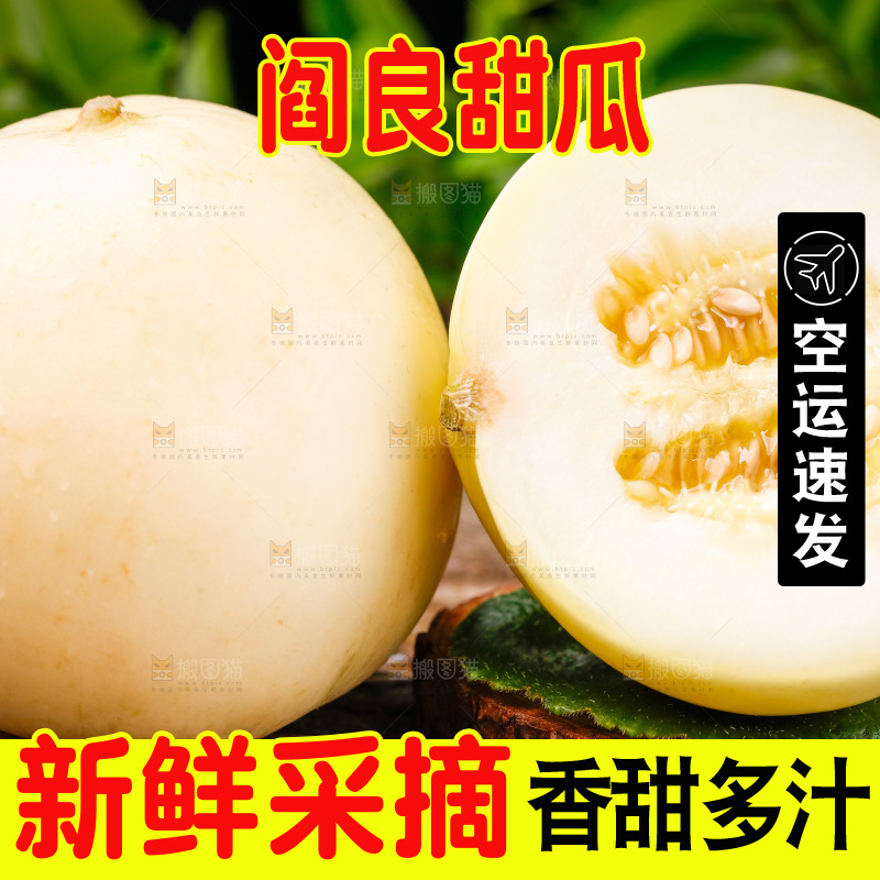 木底上的阎良甜瓜