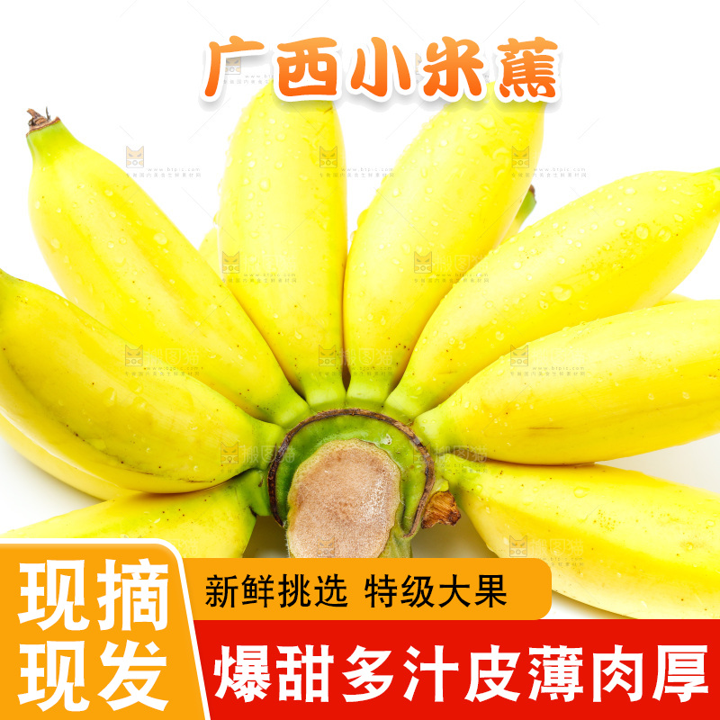 白底上放着新鲜小米蕉