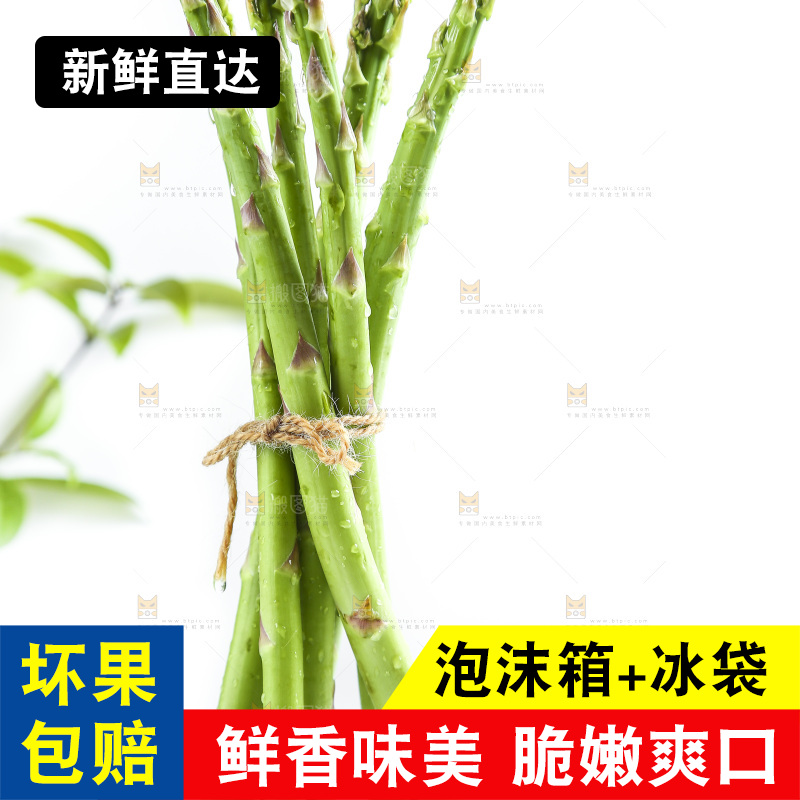白底上的山东青芦笋