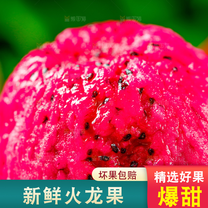 木底上放着海南红心火龙果