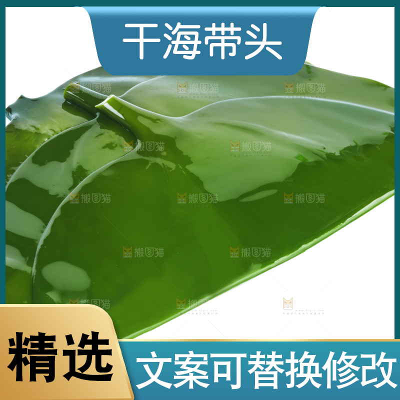 白底上摆放着海带头