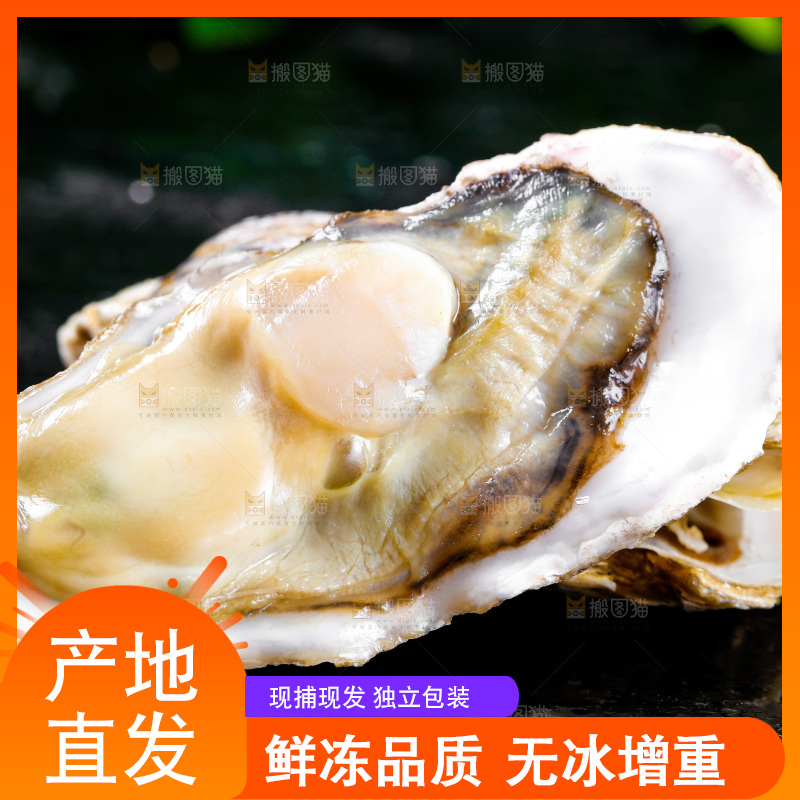 黑底上放着海蛎子