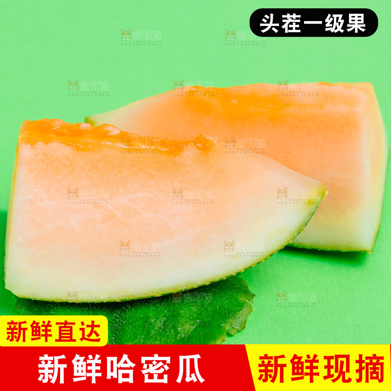 浅底上的哈密瓜