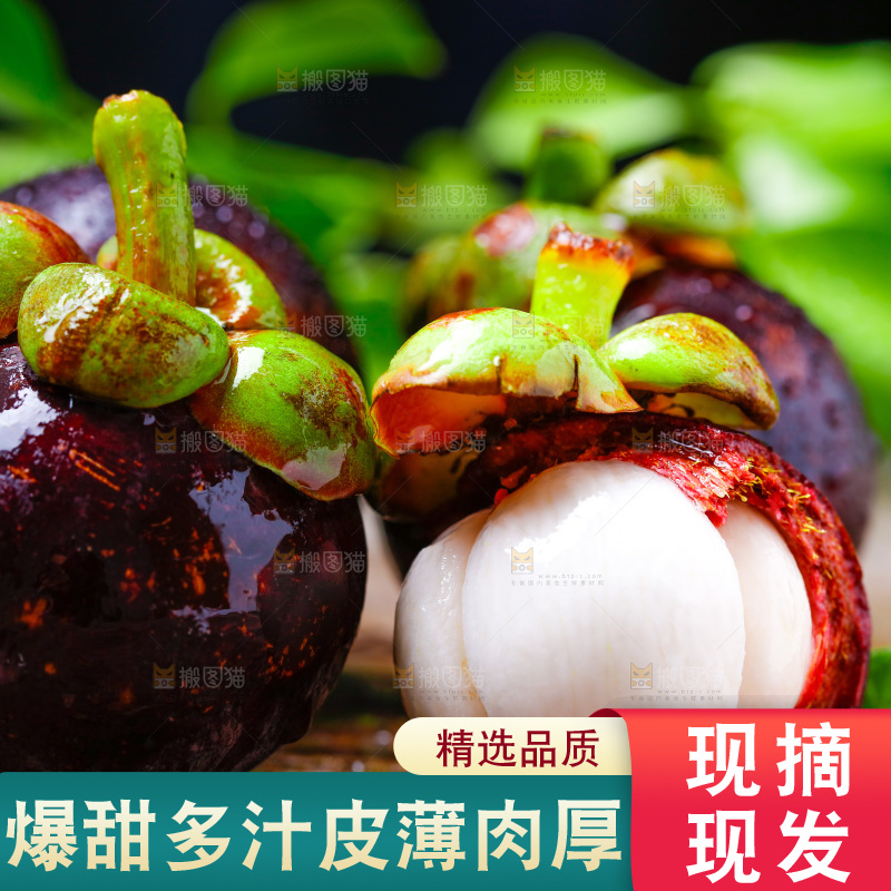 木底上的新鲜山竹