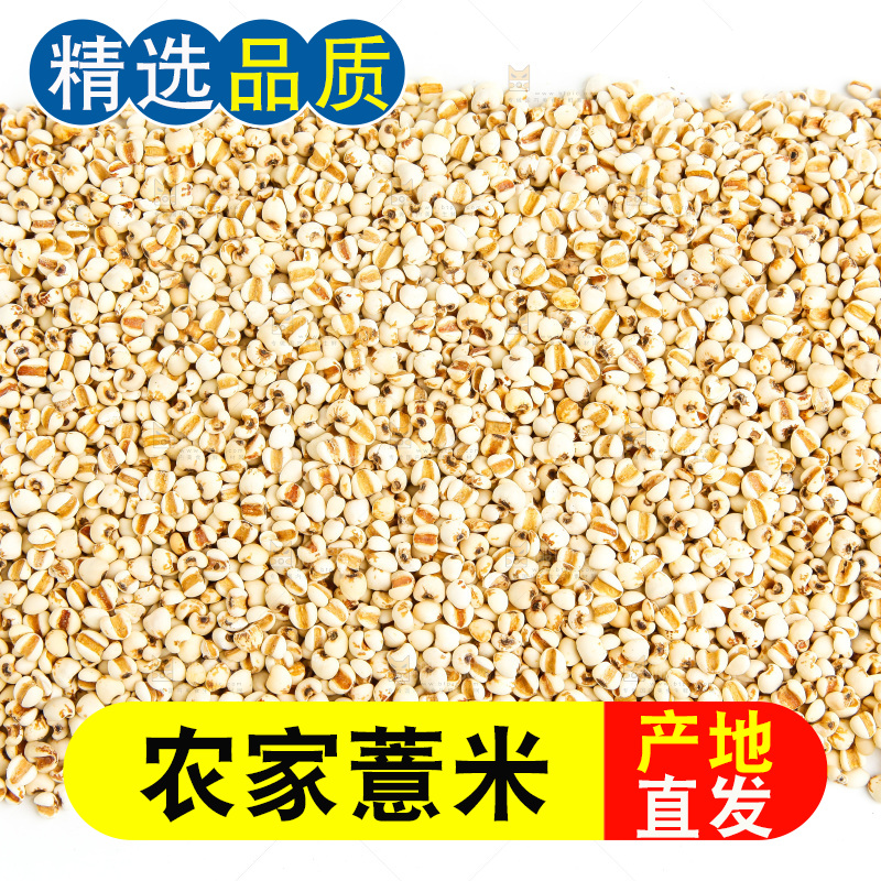白底上放着薏米仁
