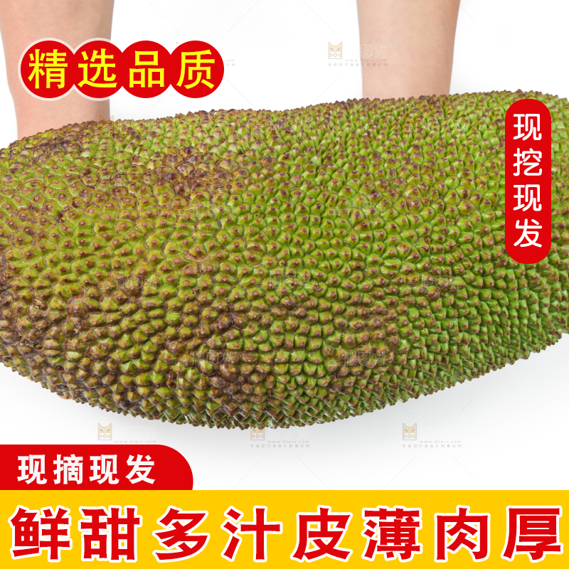 白底上放着一个完整的菠萝蜜