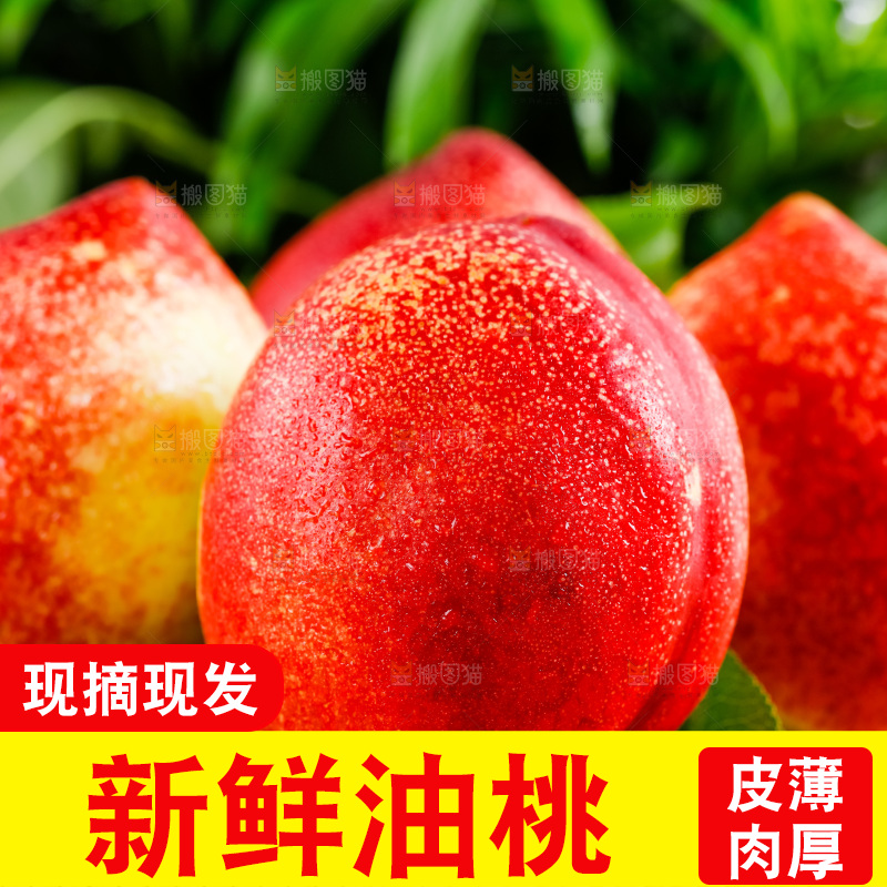 木底上放着陕西新鲜油桃