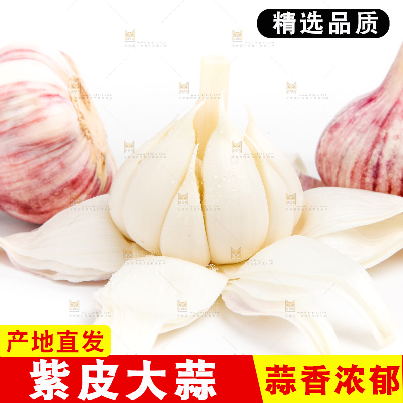白底上的大蒜