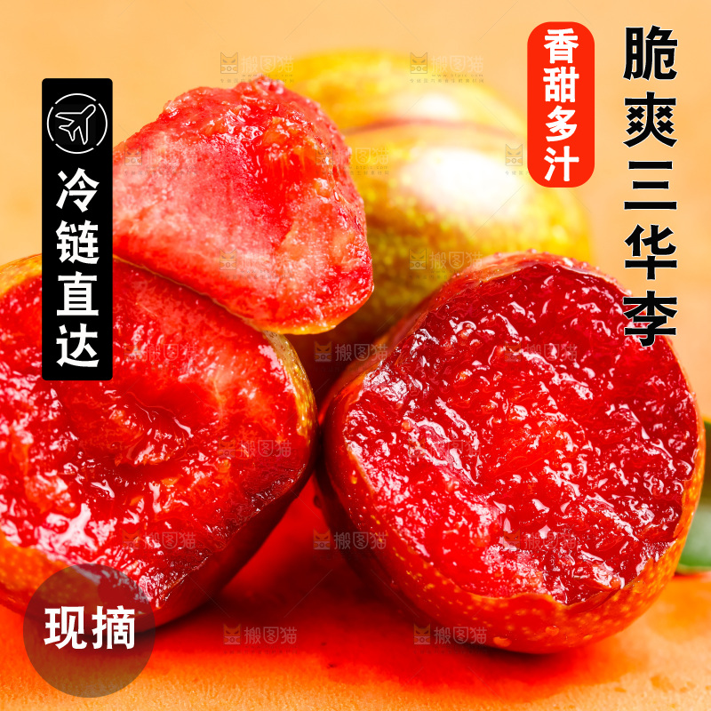 浅底上放着钱排三华李