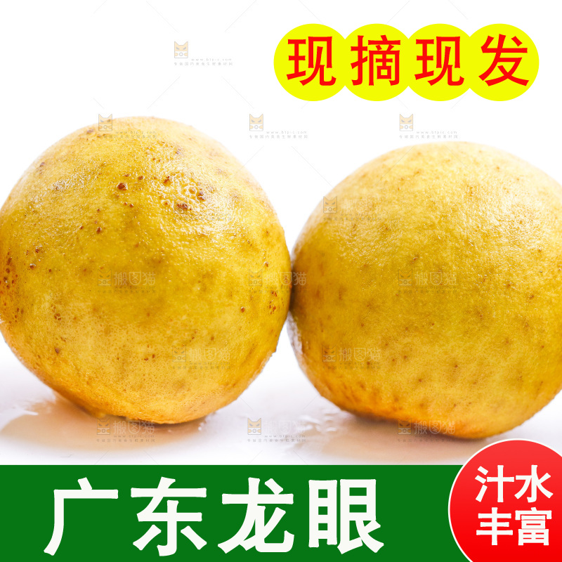 白底上的龙眼