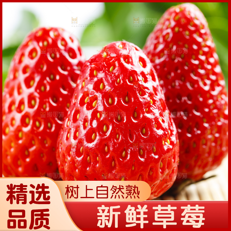 99草莓放在木底上