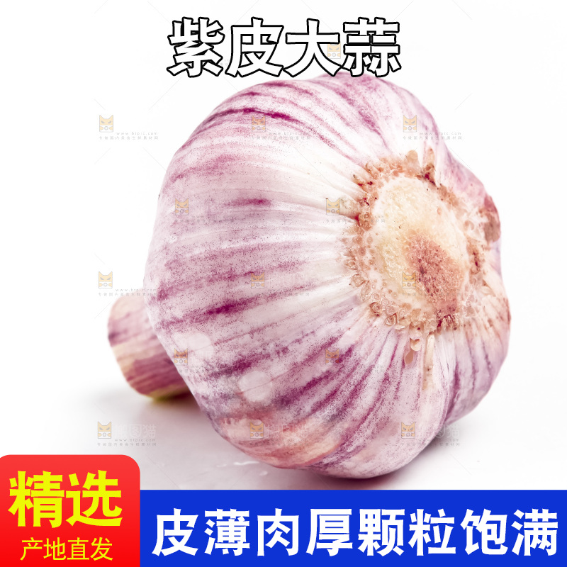 白底上放着多瓣蒜