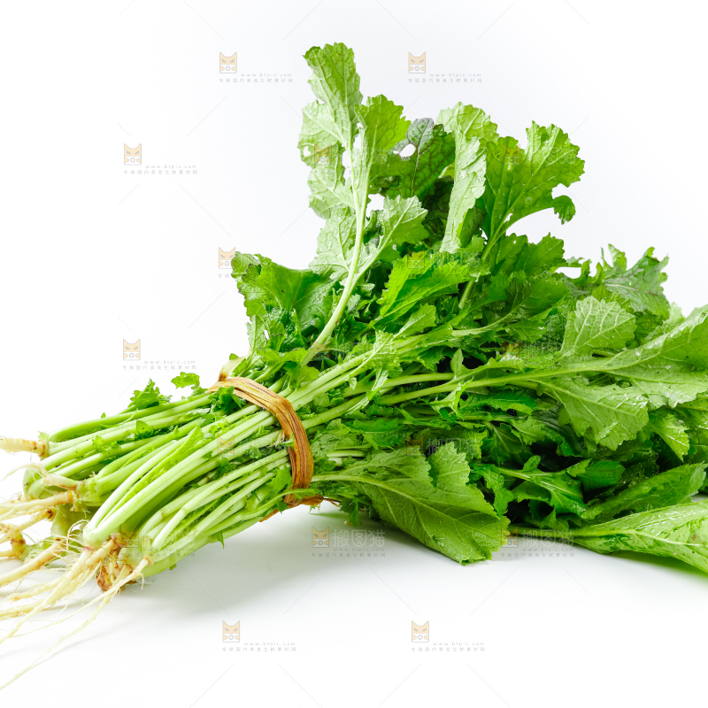 白底上的腊菜