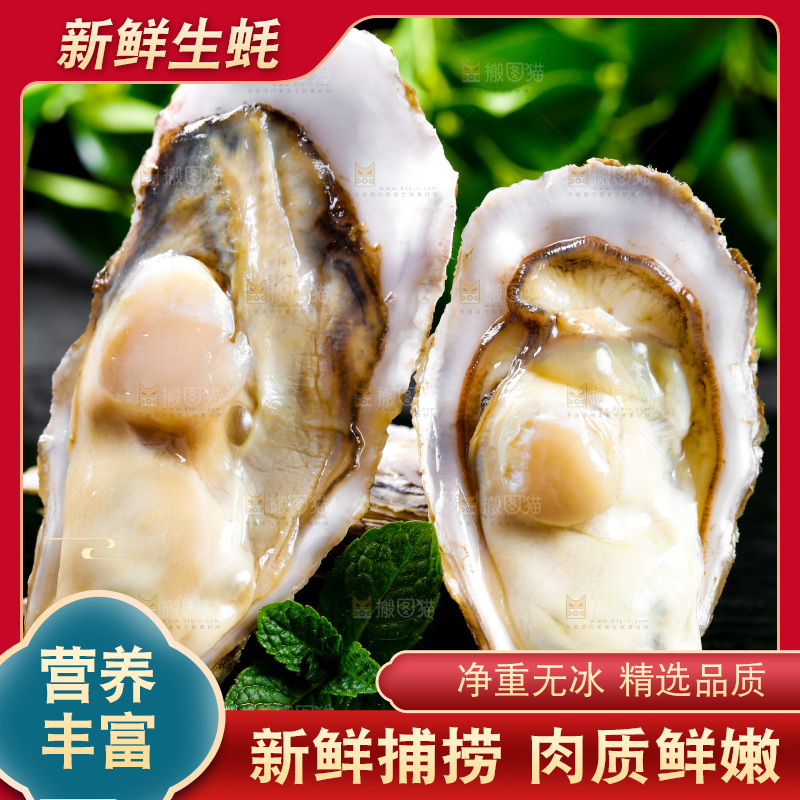 深底上放着牡蛎