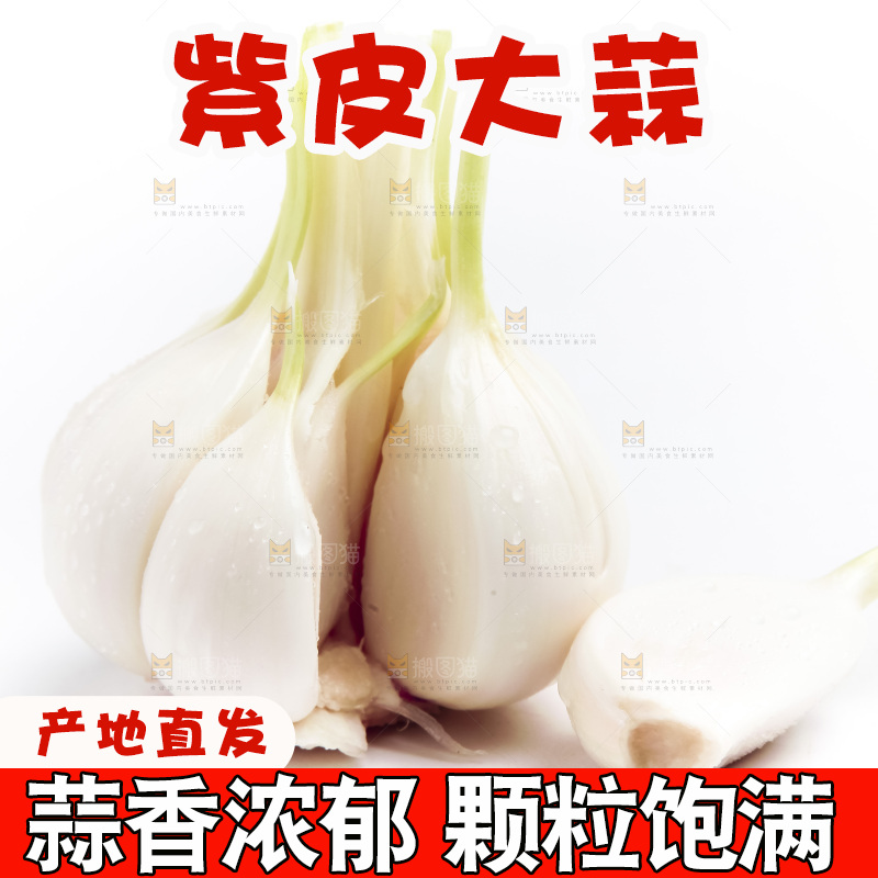 白底上放着新鲜大蒜