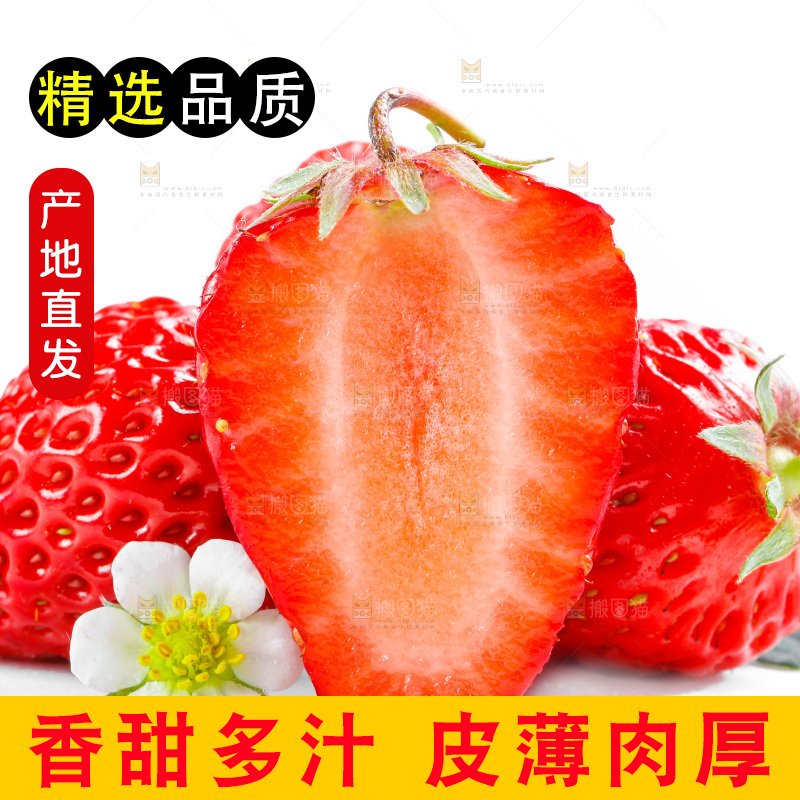 白底上的草莓