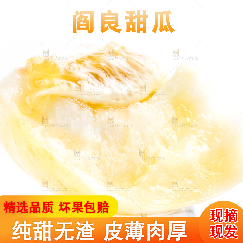 新鲜阎良甜瓜放在白底上
