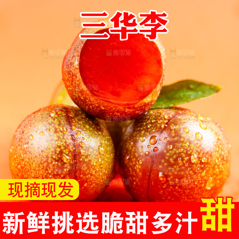 浅底上摆放着钱排三华李