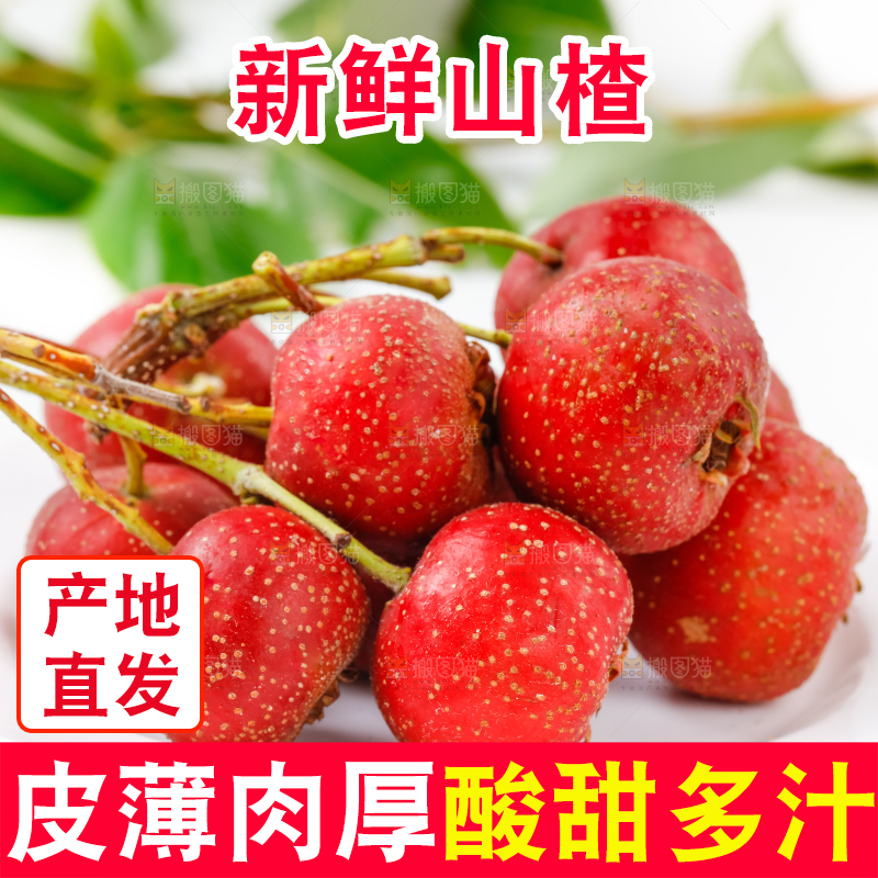 白底上的山楂