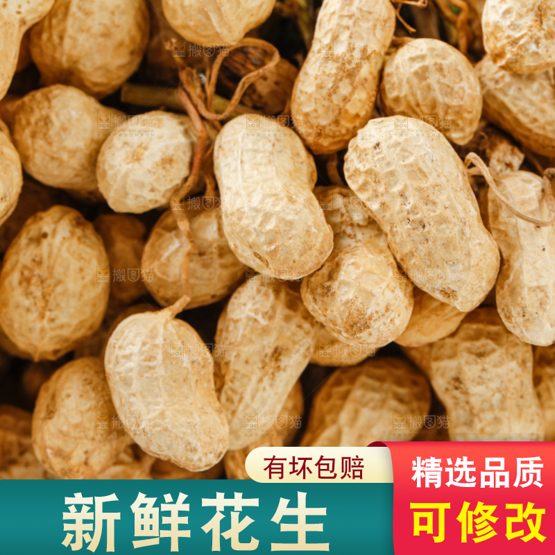 白底上放着一堆新鲜花生